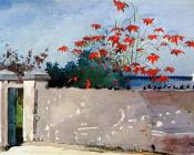 温斯洛 荷默 : A Wall, Nassau